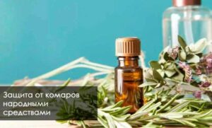Защита от комаров народными средствами