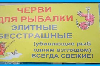 рыболовный бум