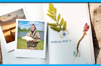 рыбалка в июне